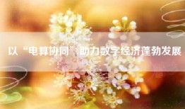 以“电算协同”助力数字经济蓬勃发展