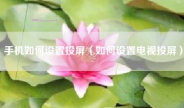 手机如何设置投屏（如何设置电视投屏）
