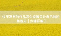 快手发布的作品怎么设置只让自己的粉丝看见【步骤详解】