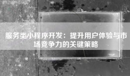 服务类小程序开发：提升用户体验与市场竞争力的关键策略