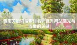 贵阳关键词搜索排名，提升网站曝光与流量的关键