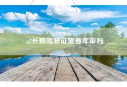 a2长期驾驶证需要年审吗