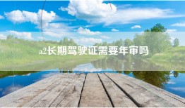 a2长期驾驶证需要年审吗
