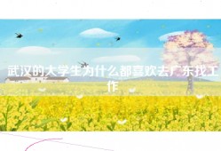 武汉的大学生为什么都喜欢去广东找工作
