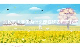 武汉的大学生为什么都喜欢去广东找工作