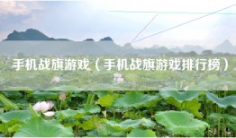 手机战旗游戏（手机战旗游戏排行榜）