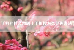 手机控什么意思（手机控怎么处理办法）
