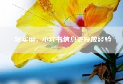 超实用，小红书信息流投放经验