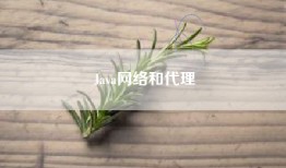 Java网络和代理
