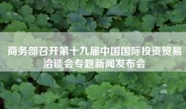 商务部召开第十九届中国国际投资贸易洽谈会专题新闻发布会