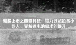 新股上市之西磁科技：磁力过滤设备小巨人，受益锂电池需求的提升