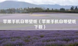 苹果手机自带壁纸（苹果手机自带壁纸下载）