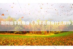 如何给手机瘦身（为手机瘦身什么程序）