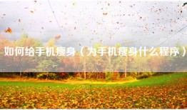 如何给手机瘦身（为手机瘦身什么程序）