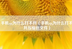 手机qq为什么打不开（手机qq为什么打不开压缩包文件）