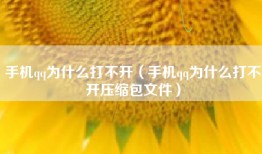 手机qq为什么打不开(手机qq为什么打不开压缩包文件)