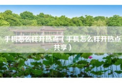 手机怎么样开热点（手机怎么样开热点共享）