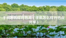 手机怎么样开热点（手机怎么样开热点共享）