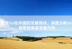 根据SEO在中国的发展现状，深度分析SEO前景和未来发展方向