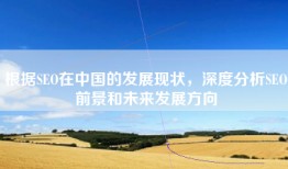 根据SEO在中国的发展现状，深度分析SEO前景和未来发展方向