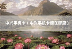 中兴手机卡（中兴手机卡槽在哪里）