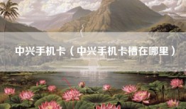 中兴手机卡（中兴手机卡槽在哪里）
