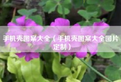 手机壳图案大全（手机壳图案大全图片 定制）