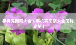 手机壳图案大全（手机壳图案大全图片 定制）