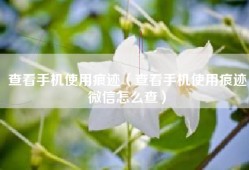 查看手机使用痕迹（查看手机使用痕迹微信怎么查）