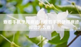 查看手机使用痕迹（查看手机使用痕迹微信怎么查）