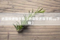 迅雷极速版手机（迅雷极速版手机app下载）