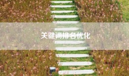 关键词排名优化