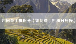如何查手机积分（如何查手机积分兑换）