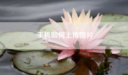 手机如何上传图片