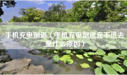 手机充电倒退（手机充电倒退充不进去是什么原因）