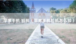 苹果手机 验机（苹果手机验机怎么验）
