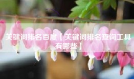 关键词排名百度【关键词排名查询工具有哪些】