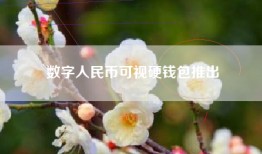 数字人民币可视硬钱包推出
