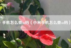 手机怎么查sn码（小米手机怎么查sn码）