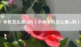 手机怎么查sn码(小米手机怎么查sn码)