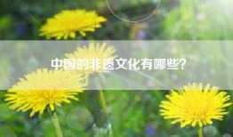 中国的非遗文化有哪些？