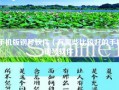 手机版钢琴软件（有哪些比较好的手机钢琴软件）