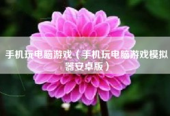 手机玩电脑游戏（手机玩电脑游戏模拟器安卓版）