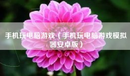 手机玩电脑游戏（手机玩电脑游戏模拟器安卓版）