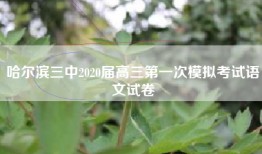 哈尔滨三中2020届高三第一次模拟考试语文试卷