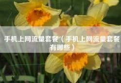 手机上网流量套餐（手机上网流量套餐有哪些）