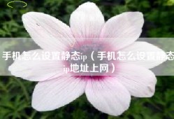 手机怎么设置静态ip（手机怎么设置静态ip地址上网）