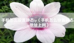 手机怎么设置静态ip（手机怎么设置静态ip地址上网）