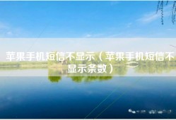 苹果手机短信不显示（苹果手机短信不显示条数）