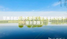 苹果手机短信不显示（苹果手机短信不显示条数）